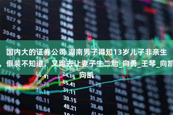 國內大的證券公司 湖南男子得知13歲兒子非親生，假裝不知道，又跑去讓妻子生二胎_向勇_王琴_向凱