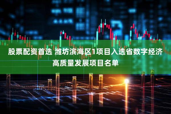 股票配資首選 濰坊濱海區1項目入選省數字經濟高質量發展項目名單