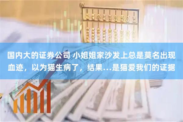 國內大的證券公司 小姐姐家沙發上總是莫名出現血跡，以為貓生病了，結果…是貓愛我們的證據