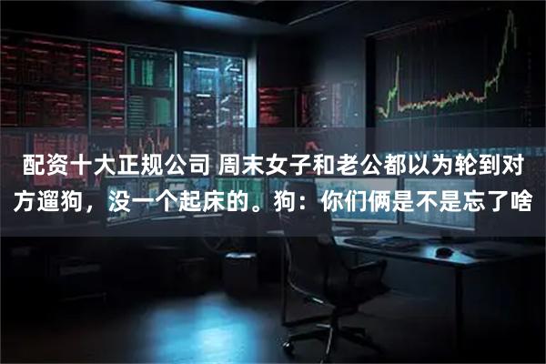 配資十大正規公司 周末女子和老公都以為輪到對方遛狗，沒一個起床的。狗：你們倆是不是忘了啥