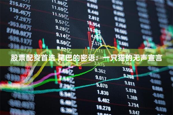 股票配資首選 尾巴的密語：一只貓的無聲宣言